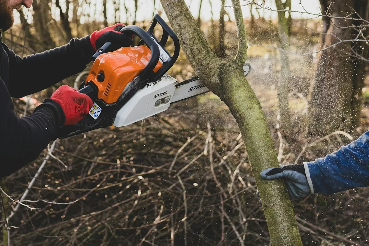 Gloved hands cutting a small tree out of dry brush with a chainsaw