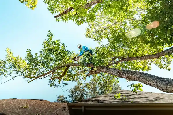 Climber in a harness and helmet cutting a long limb above a house roof