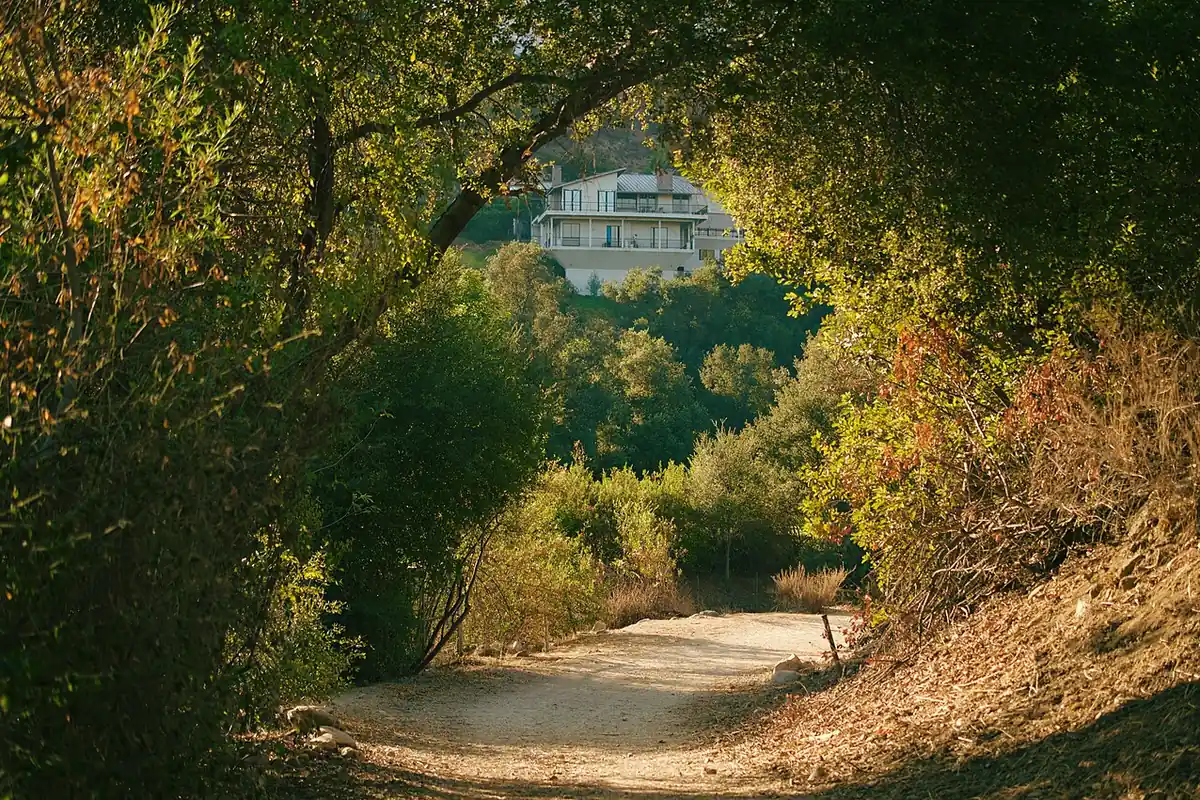 Dirt trail under an arch of trees in Upper Arroyo Park, Pasadena